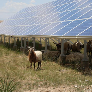 集裝箱式光伏逆變器方案的主流之勢(shì)